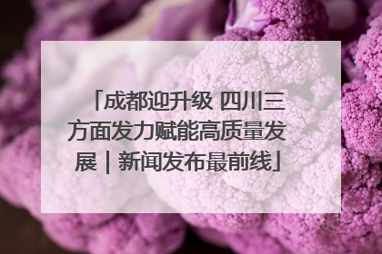 成都迎升级 四川三方面发力赋能高质量发展｜新闻发布最前线