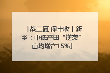 战三夏 保丰收丨新乡：中低产田“逆袭” 亩均增产15%