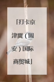 打卡京津冀（固安）国际商贸城