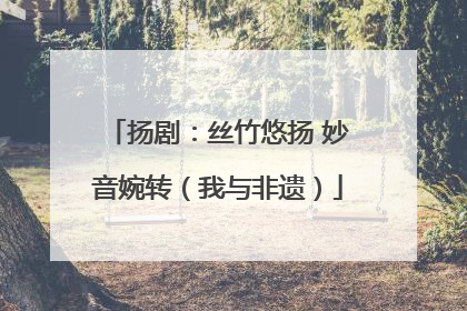 扬剧：丝竹悠扬 妙音婉转（我与非遗）