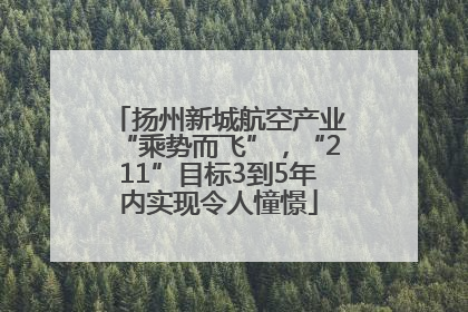 扬州新城航空产业“乘势而飞”，“211”目标3到5年内实现令人憧憬