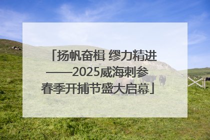 扬帆奋楫 缪力精进——2025威海刺参春季开捕节盛大启幕