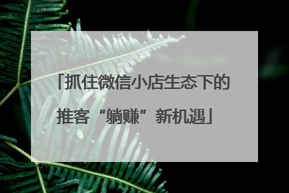 抓住微信小店生态下的推客“躺赚”新机遇