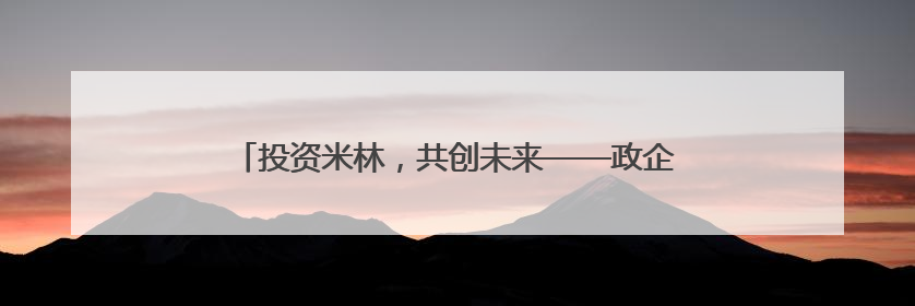 投资米林，共创未来——政企携手，共筑区域发展新高地