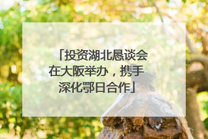 投资湖北恳谈会在大阪举办，携手深化鄂日合作