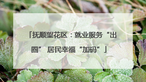 抚顺望花区：就业服务“出圈” 居民幸福“加码”