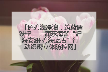 护碧海净浪，筑蓝盾铁壁——浦东海警“沪海安澜·碧海蓝盾”行动织密立体防控网