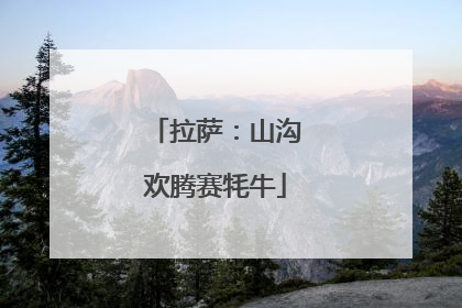 拉萨：山沟欢腾赛牦牛