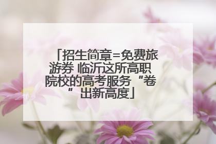 招生简章=免费旅游券 临沂这所高职院校的高考服务“卷”出新高度