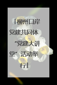 柳州口岸党建共同体“党建大讲堂”活动举行