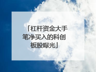 杠杆资金大手笔净买入的科创板股曝光