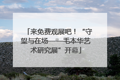 来免费观展吧！“守望与在场——毛本华艺术研究展”开幕