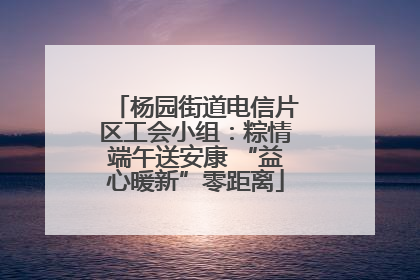 杨园街道电信片区工会小组：粽情端午送安康 “益心暖新”零距离