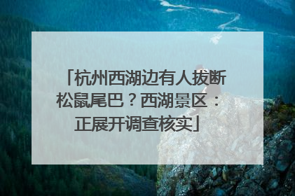 杭州西湖边有人拔断松鼠尾巴？西湖景区：正展开调查核实