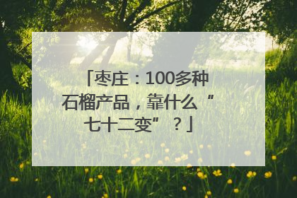 枣庄：100多种石榴产品，靠什么“七十二变”？