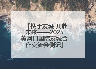携手友城 共赴未来——2025黄河口国际友城合作交流会侧记