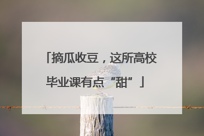 摘瓜收豆，这所高校毕业课有点“甜”