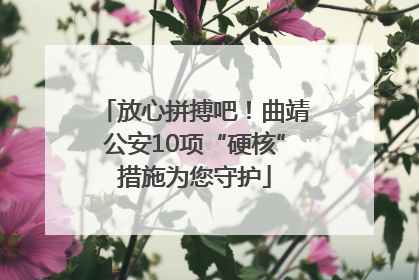 放心拼搏吧！曲靖公安10项“硬核”措施为您守护