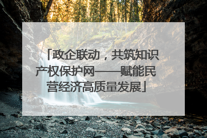 政企联动，共筑知识产权保护网——赋能民营经济高质量发展