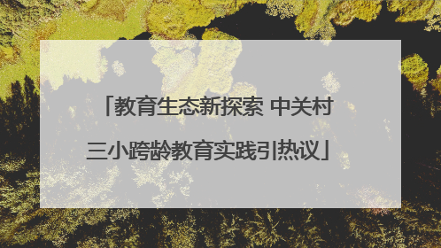 教育生态新探索 中关村三小跨龄教育实践引热议
