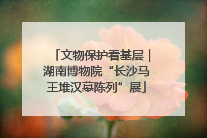 文物保护看基层｜湖南博物院“长沙马王堆汉墓陈列”展