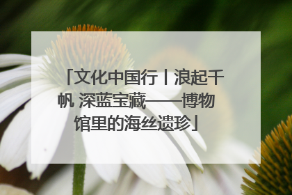 文化中国行丨浪起千帆 深蓝宝藏——博物馆里的海丝遗珍