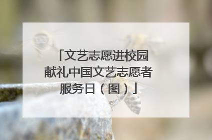文艺志愿进校园 献礼中国文艺志愿者服务日（图）