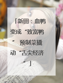 新田：血鸭变成“致富鸭” 预制菜撬动“舌尖经济”