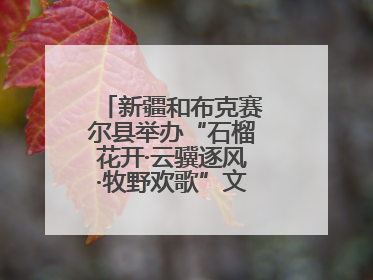新疆和布克赛尔县举办“石榴花开·云骥逐风·牧野欢歌”文化演出季活动