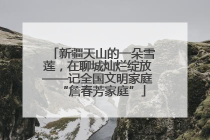 新疆天山的一朵雪莲，在聊城灿烂绽放——记全国文明家庭“詹春芳家庭”