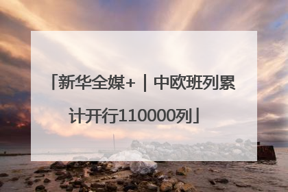 新华全媒+｜中欧班列累计开行110000列