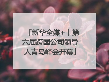 新华全媒+丨第六届跨国公司领导人青岛峰会开幕