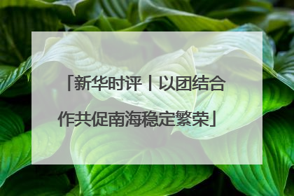 新华时评丨以团结合作共促南海稳定繁荣