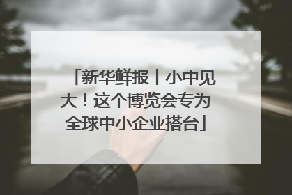 新华鲜报丨小中见大！这个博览会专为全球中小企业搭台
