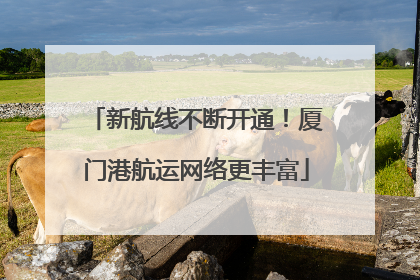 新航线不断开通！厦门港航运网络更丰富
