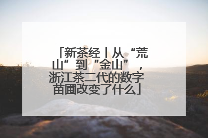 新茶经丨从“荒山”到“金山”，浙江茶二代的数字苗圃改变了什么
