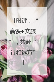 时评：“高铁+文旅”，共赴“诗和远方”