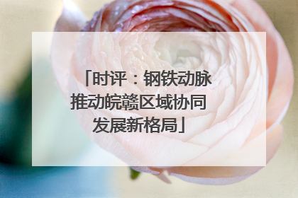 时评：钢铁动脉推动皖赣区域协同发展新格局