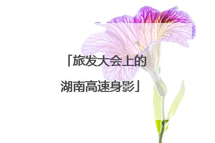 旅发大会上的湖南高速身影
