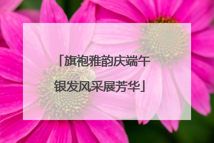 旗袍雅韵庆端午 银发风采展芳华