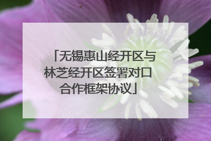 无锡惠山经开区与林芝经开区签署对口合作框架协议