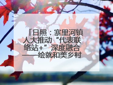 日照：寨里河镇人大推动“代表联络站+”深度融合——绘就和美乡村幸福画卷