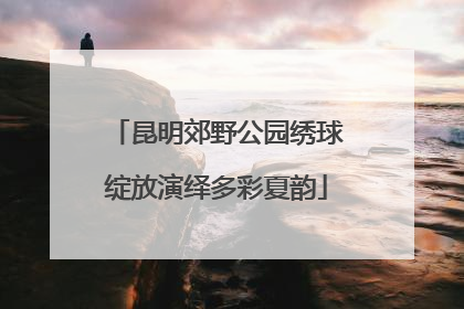 昆明郊野公园绣球绽放演绎多彩夏韵