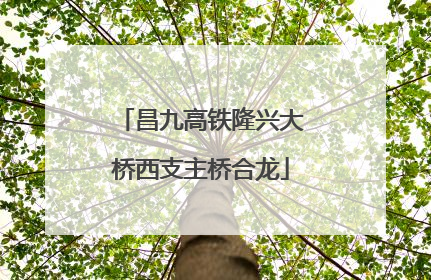 昌九高铁隆兴大桥西支主桥合龙