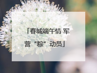 春城端午情 军营“粽”动员