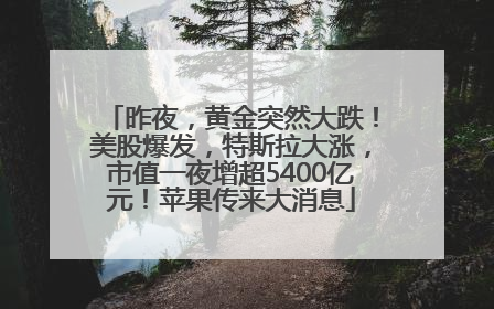昨夜，黄金突然大跌！美股爆发，特斯拉大涨，市值一夜增超5400亿元！苹果传来大消息