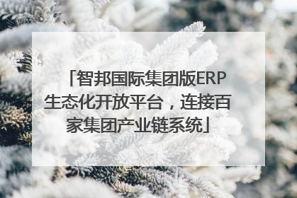 智邦国际集团版ERP生态化开放平台，连接百家集团产业链系统