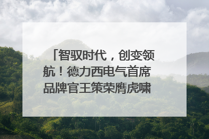 智驭时代，创变领航！德力西电气首席品牌官王策荣膺虎啸奖年度品牌人物
