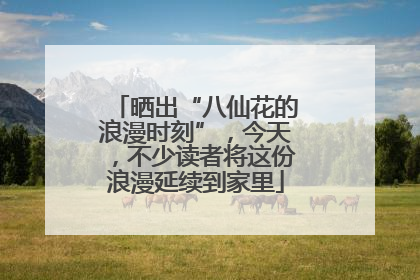 晒出“八仙花的浪漫时刻”，今天，不少读者将这份浪漫延续到家里