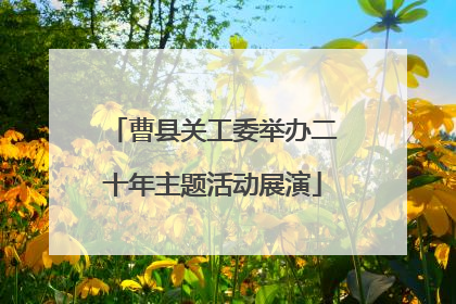 曹县关工委举办二十年主题活动展演